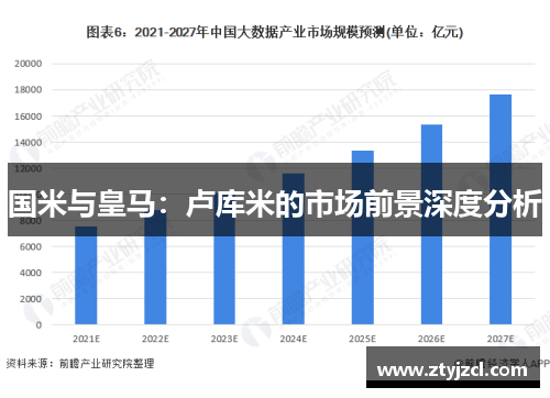 国米与皇马：卢库米的市场前景深度分析