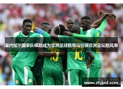 塞内加尔国家队崛起成为非洲足球新黑马引领非洲足坛新风潮