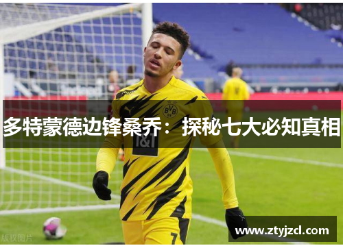 多特蒙德边锋桑乔：探秘七大必知真相